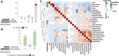 Somatic Mutations Detected in Parkinson Disease Could Affect Genes With a Role in Synaptic and Neuronal Processes